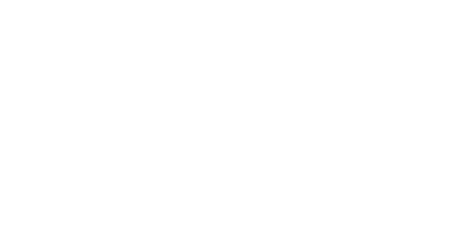 Fior 1 Logo