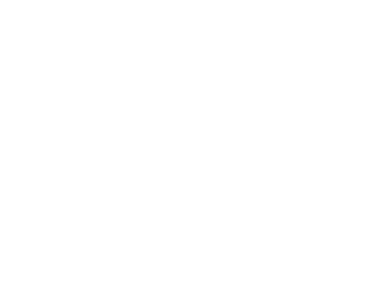 Orbis Logo