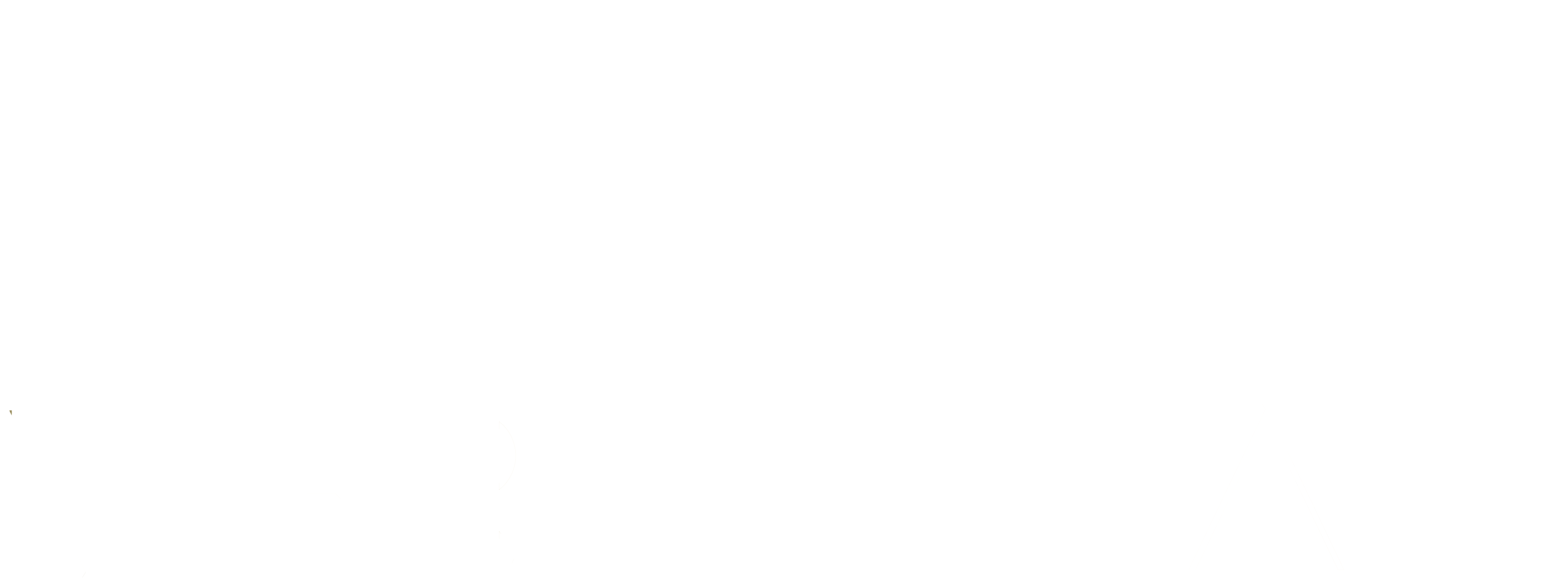 The Verdana Logo